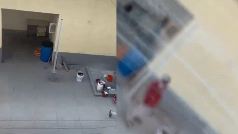Pervert Caught on Camera Stealing Lingerie, Masturbating in Bengaluru: Manhunt Launched for Psycho Who Steals Women's Undergarments to Derive Sadistic Pleasure, Say Police (See Pic)