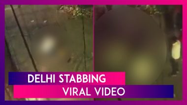 Delhi Shocker: Youth Stabbed in Nand Nagri, Disturbing Video Of Incident Surfaces