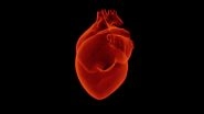 Latest Study Finds New Heart Rhythm Categorization for Stroke Patients