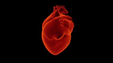 Heart Attack First Aid: What Should You Do if Someone May Be Having a Heart Attack? Here Are Some Tips To Follow