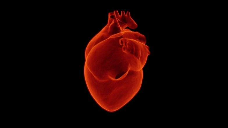 Andhra Pradesh: Chittoor Police Sets Up Green Channel From Chennai to Tirupati for Heart Transplantation of 12-Year-Old Girl