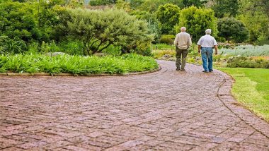 Walking Enhances Brain Connectivity and Memory in Older People: Research Indicates