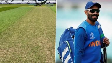 Fan Asks Dinesh Karthik to Cut Grass On ‘Garden Like’ Oval Pitch Ahead of ICC WTC 2023 Final, DK Responds