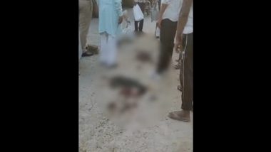 Animal Cruelty in UP: Sleeping Street Dogs Crushed to Death by Dumber Truck in Dadri, Police React as Graphic Video Surfaces Online (Viewer Discretion Advised)