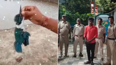 Odisha: Man Kills Kingfisher Bird Near Bhitarkanika National Park in Kendrapara; Arrested After Videos Goes Viral