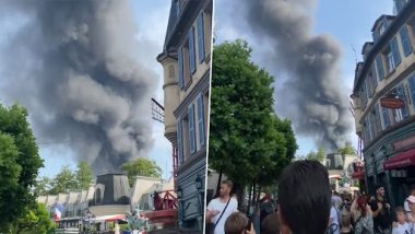 Europa-Park Fire Videos: Massive Blaze Erupts at Biggest Theme Park in Germany, Terrifying Footages Show Huge Cloud of Smokes