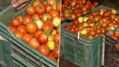 Tomato Price Rise in Delhi: Tomatoes Being Sold at Rs 80 Per Kg; Sudden Increase in Prices Due to Heavy Rainfall, Says Resident (See Pics)