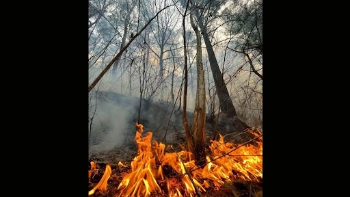 World News | Two Wildfires Erupt in California’s Riverside and San ...