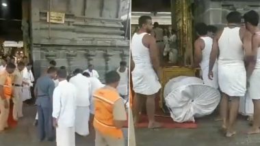 Andhra Pradesh: Lord Venkateswara Swamy Hundi Slips From Trolley While Being Shifted From Tirumala (Watch Video)