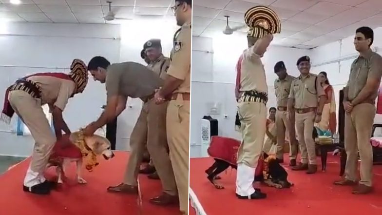 Sniffer Dogs in Madhya Pradesh Gets Grand Farewell From Police, Check Retirement Ceremony Video