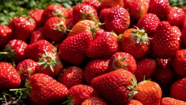 Strawberry Consumption May Improve Cognitive Function in Older Adults, Reveals Study