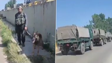 Jammu and Kashmir: Suspicious Bag Found on Srinagar-Baramulla National Highway, Traffic Movement Halted (Watch Video)