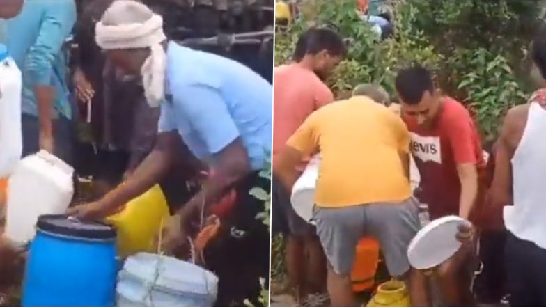 Oil Loot in Madhya Pradesh Video: Container Carrying Mustard Oil Overturns in Bhind, Locals Rush With Bottles and Buckets To Steal