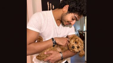 Ishaan Khatter Shares Adorable Photo With Furry Friend, Check Cute Pic of Pippa Actor