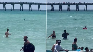 Shark Calmly Swims at the Shore of Navarre Beach in Florida While Beachgoers Clear Water in Panic, Video Goes Viral