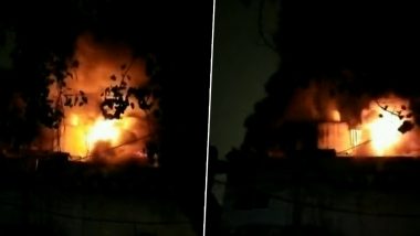 Delhi Factory Fire Video: Major Blaze Erupts in Godown in Mayapuri, Fire Tenders On Site