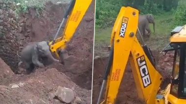 Elephant Rescue Video: Sub-Adult Elephant Rescued Using JCB in Keonjhar District, IFS Officer Shares Viral Clip (Watch)
