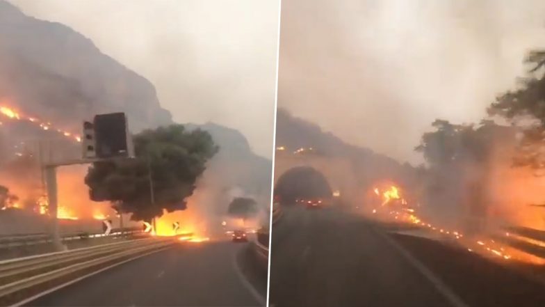 Italy Wildfire: Police Drone Catches Suspected Arsonist in Calabria Amid Widespread Wildfires in Region (Watch Video)