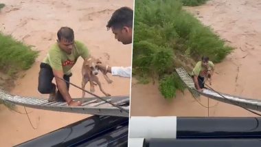 Man Saves Puppy Stranded in Chandigarh Floodwaters, Video of the Heroic Act Goes Viral (Watch)