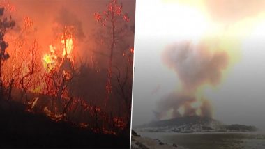 Massive Wildfire Engulfs Algeria's Mediterranean Coast, Kills Dozens (Watch Video)