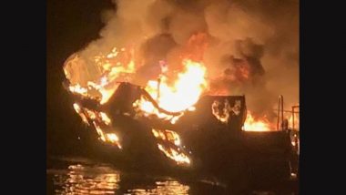 Japan Boat Fire: 10 Rescued After Boat Catches Fire in Tokyo Bay