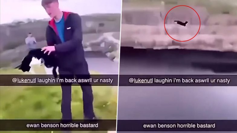 Animal Cruelty in UK Video: Teenager Throws Poor Cat Off Cliff, Arrested After Disturbing Clip Goes Viral