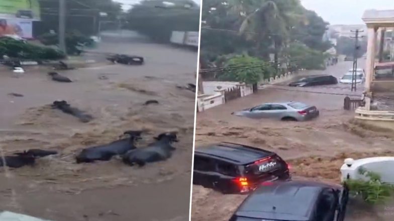 Gujarat Flood Video: Cattle, Vehicles Wash Away in Massive Flash Flood Triggered by Heavy Rains in Junagadh