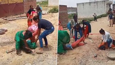 Aligarh Women Fighting Video: Ugly Fight Breaks Out Between Two Groups of Women Over Land Dispute, Clip Surfaces