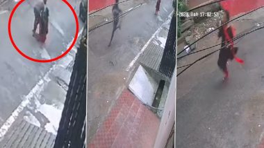 UP Chain Snatching Video: Man Snatches Woman’s Chain in Lucknow, Shocking CCTV Footage Surfaces