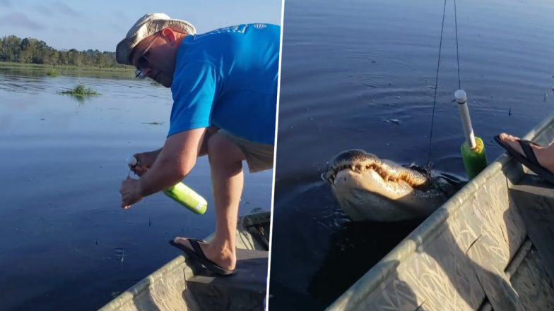 Man Accidentally Catches a Huge Crocodile in His Fishing Hook, Hits the Reptile’s Head Slowly To Send It Back (Watch Video)