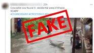 Crocodile in Kharar? Croc Found in Rain Flood Water? Old Video of Reptile Swimming in Flooded Street in Gujarat Goes Viral With Fake Claim!