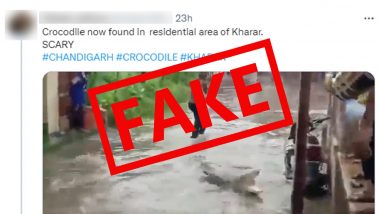 Crocodile in Kharar? Croc Found in Rain Flood Water? Old Video of Reptile Swimming in Flooded Street in Gujarat Goes Viral With Fake Claim!