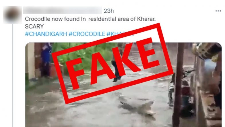Crocodile in Kharar? Croc Found in Rain Flood Water? Old Video of Reptile Swimming in Flooded Street in Gujarat Goes Viral With Fake Claim!