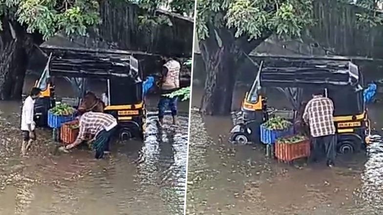 Mumbai: Vegetable Seller Caught on Camera Washing Veggies in Floodwater in Nalasopara, Video Raises Concern