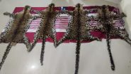 Odisha: Four Leopard Skins Seized in Baripada, Three Arrested (See Pics)