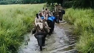 Forest Guards Deploy 'Patrol Elephants' to Conduct Patrolling on Wet Grasslands During Monsoon Season, IFS Officer Shares Video of the Challenging Task