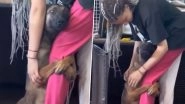 Rescue Dog Hugs New Owner After Adoption and Refuses To Let Go, the Heart-Melting Video Goes Viral