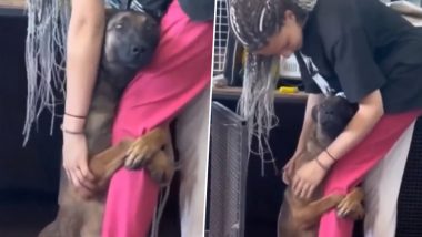 Rescue Dog Hugs New Owner After Adoption and Refuses To Let Go, the Heart-Melting Video Goes Viral