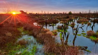 Landmark EU Nature Restoration Law Faces Farmer Backlash