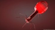 Bacteriophages: 'Good Virus' Fights Bad Bacteria