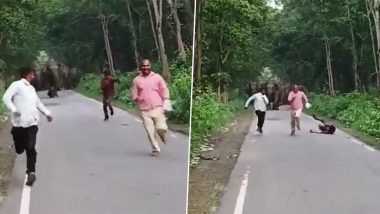Elephant Attack in UP Video: Three Men Narrowly Escape Being Trampled by Elephants While Trying To Click Selfies in Lakhimpur Kheri
