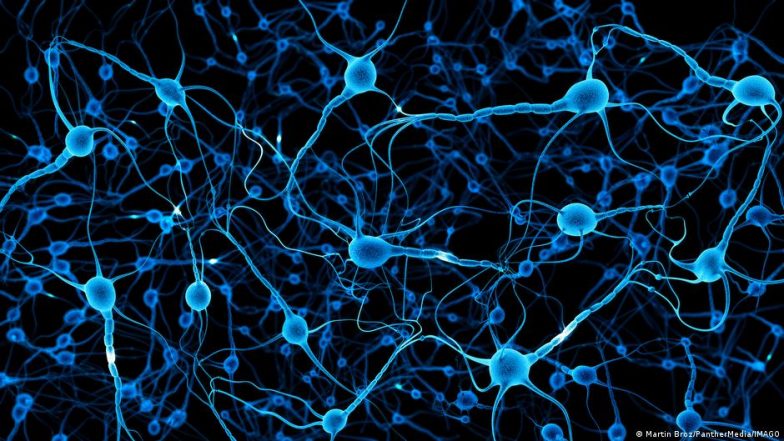 What is the Guillan-Barré-Syndrome?