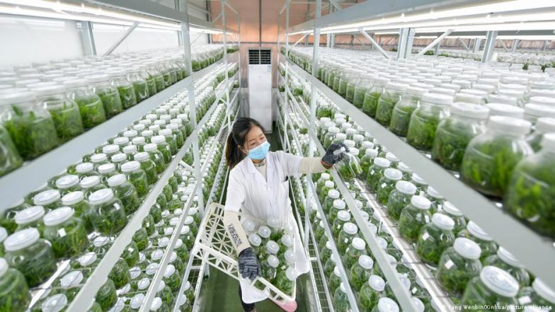 Food Security: Can AI and Genome Editing Help?