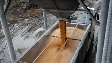 Ukraine: New Export Routes Needed for Grain