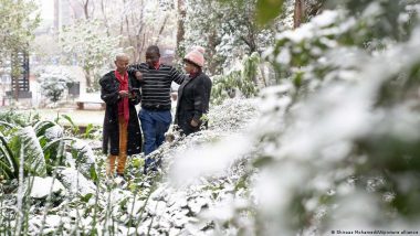 South Africa: Johannesburg Revels in Snowy Surprise