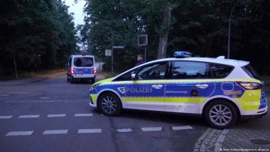 Germany: Suspected Lioness on the Loose Outside Berlin