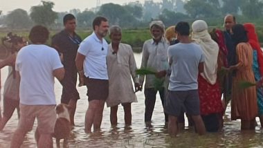 Rahul Gandhi Makes Impromptu Visit to Sonipat Village in Haryana, Interacts With Villagers, Rides Tractor (See Pics and Video)