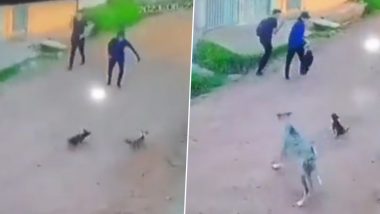 Two Men Scare Away Small Puppies While Walking On Road; Bigger Dog Takes Revenge, Hilarious Video Goes Viral (Watch)