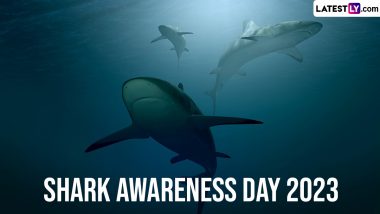 Shark Awareness Day 2023 Date and Significance: All You Need To Know About the Day Dedicated to These Fascinating Marine Creatures