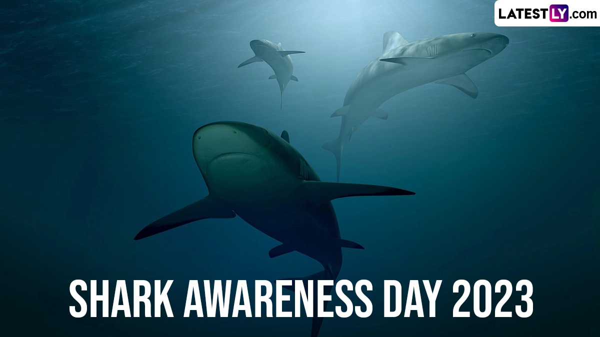 Festivals & Events News When Is Shark Awareness Day 2023? Know the